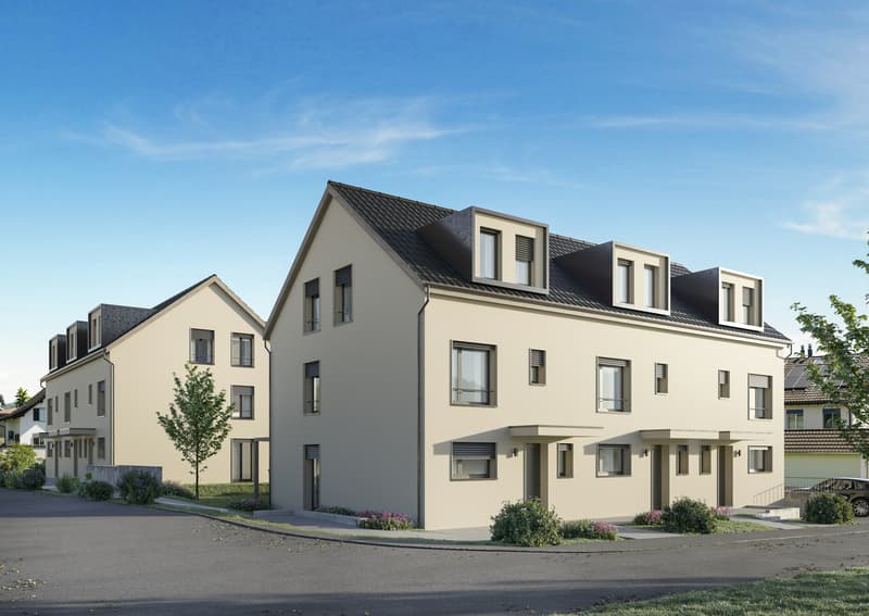 Seulement 1 des 6 maisons disponibles - La maison n° 4 cherche sa famille (4)