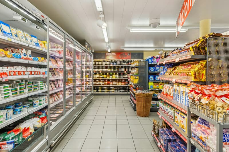 Proprietà residenziale e commerciale con riserva di terreno edificabile in posizione centrale (13)