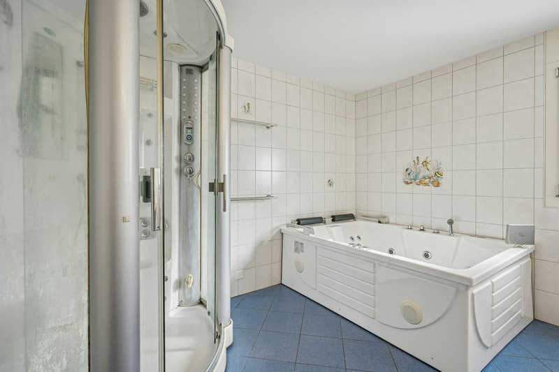 5.5-room single-family house in an elevated and sought-after location with surrounding area (13)