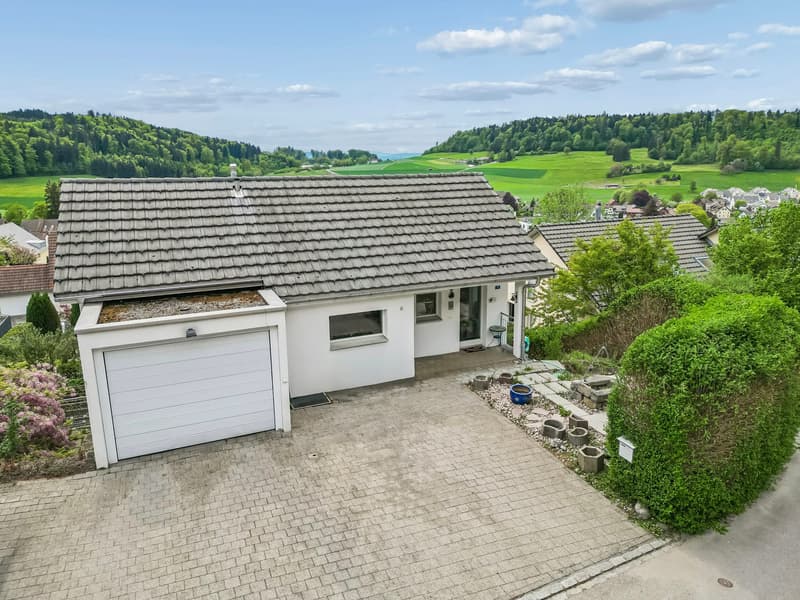5.5-room single-family house in an elevated and sought-after location with surrounding area (4)