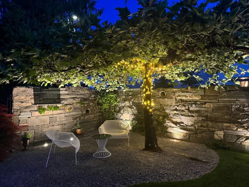 Exclusive 6½-room single-family house in a quiet location with a large garden (5)