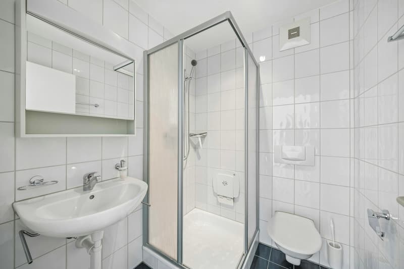 Ampio appartamento di 3½ locali con balcone a vetri e bella vista (9)