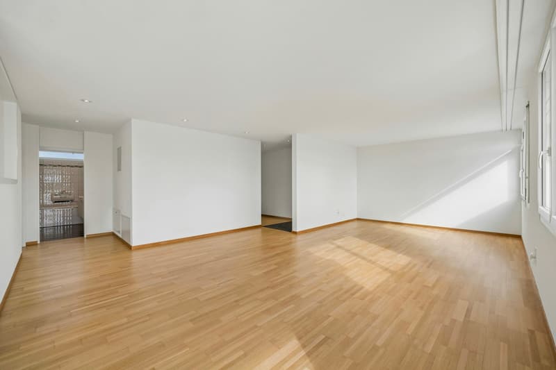 Ampio appartamento di 3½ locali con balcone a vetri e bella vista (2)