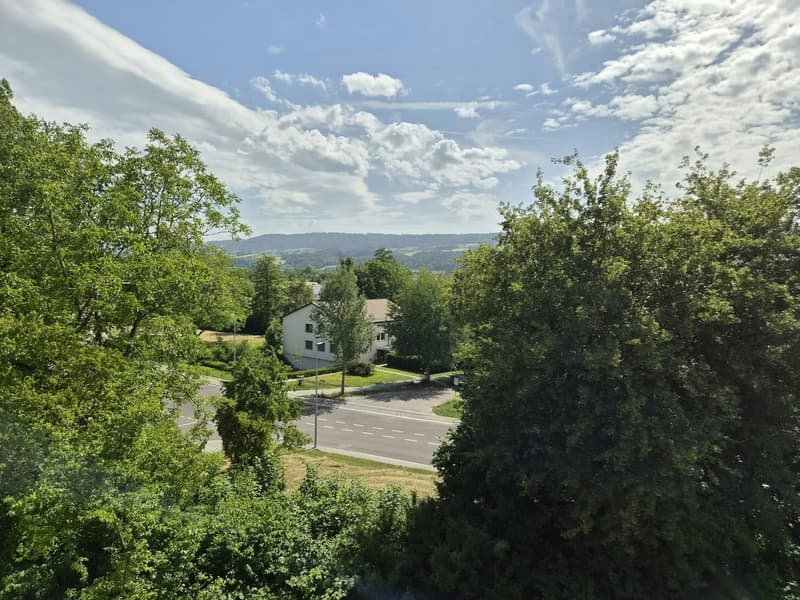 Erstvermietung in Uster - moderne 4½-Zimmerwohnungen für hohe Wohnansprüche (3)