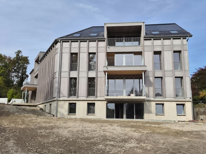 3½-Zimmer-Dachwohnungen an traumhafter Lage am Greifensee (1)