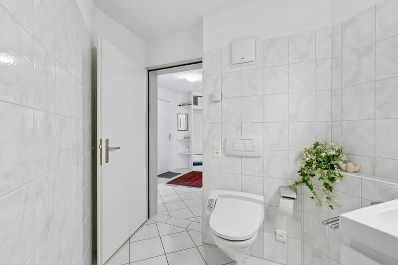 Grosszügige 3½-Zimmer-Eigentumswohnung mit zwei Balkonen (7)