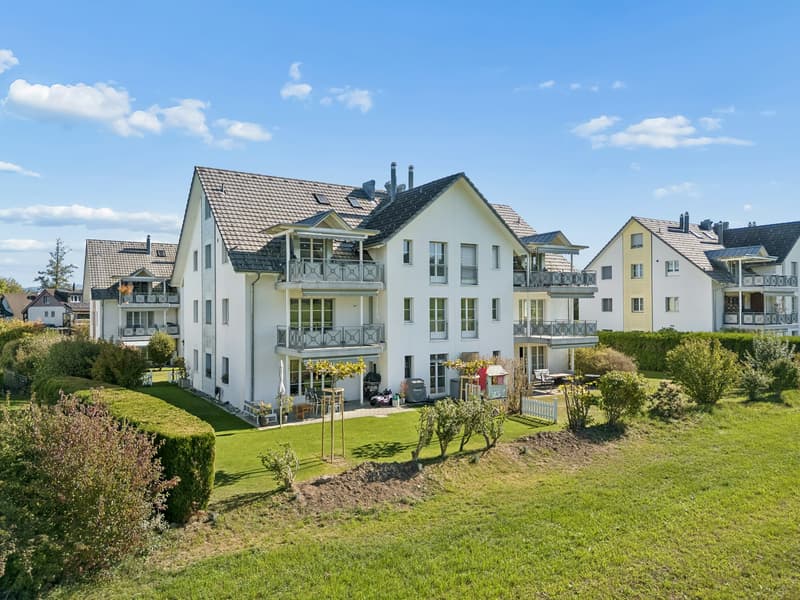 Wohnen mit Weitblick - grosszügige 5.5-Zimmer-Maisonettewohnung mit Charme (1)
