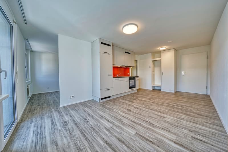 2-West_Wohnzimmer_und_Kueche.jpg