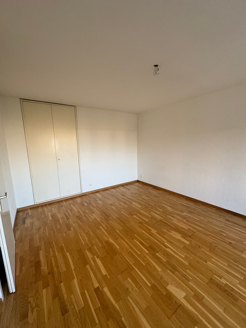 Zimmer_1.png