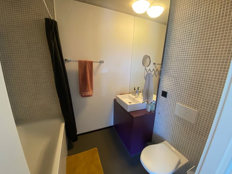 Salle_de_bains.jpg