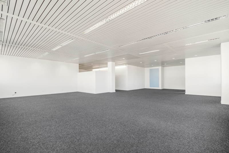 Z62_2363.jpg