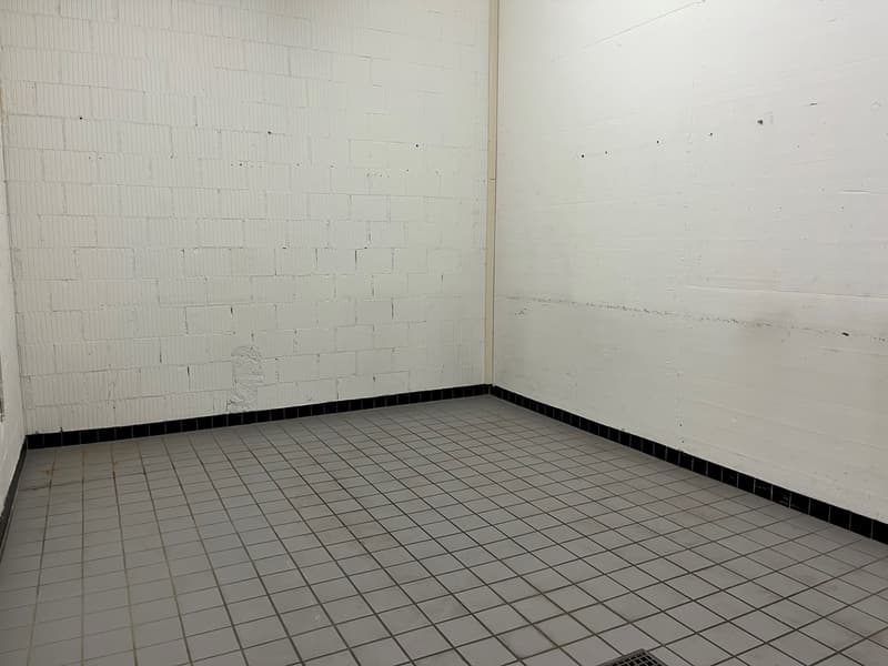 T1133_2.jpg