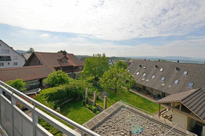 Attractive 2.5-room attic apartment with fantastic views of the mountains (18)