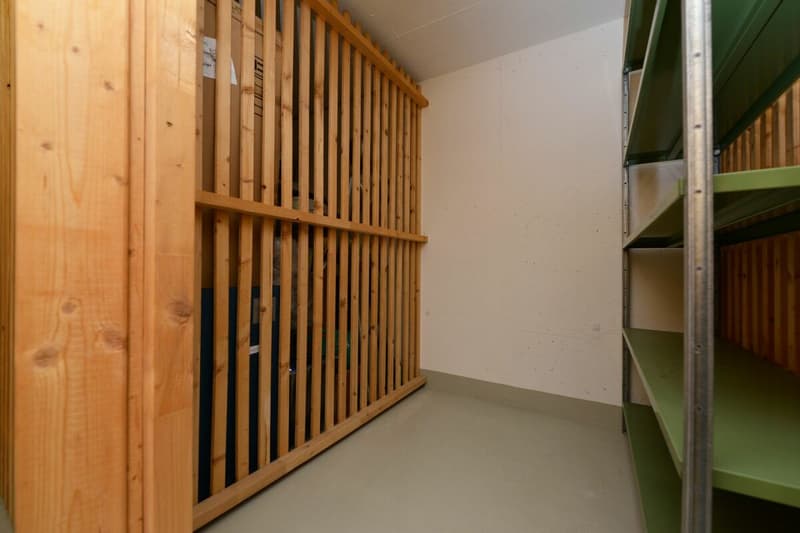 Attractive 2.5-room attic apartment with fantastic views of the mountains (16)