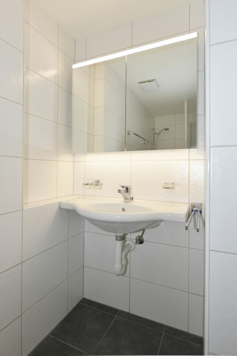 Attractive 2.5-room attic apartment with fantastic views of the mountains (11)