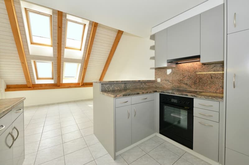Attractive 2.5-room attic apartment with fantastic views of the mountains (9)