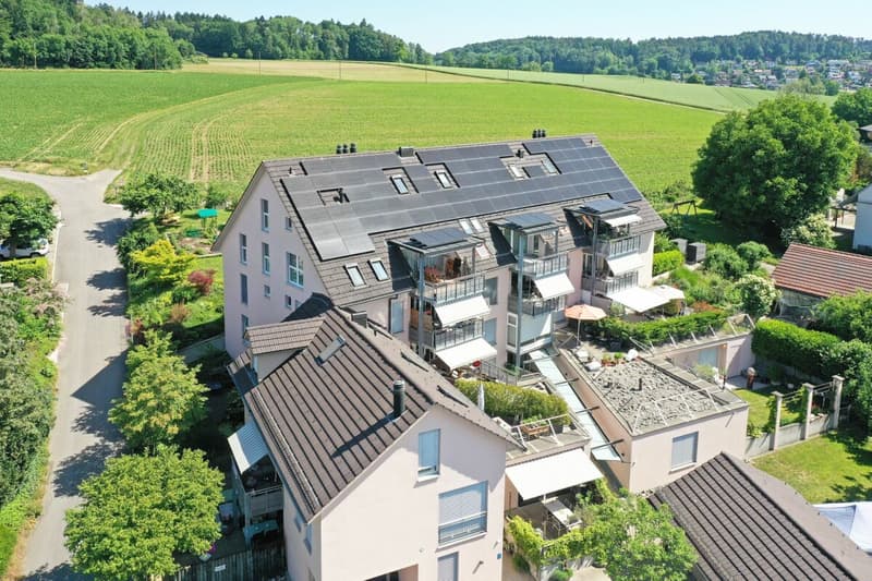 Attractive 2.5-room attic apartment with fantastic views of the mountains (1)