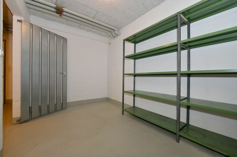 Attractive 2.5-room attic apartment with fantastic views of the mountains (15)