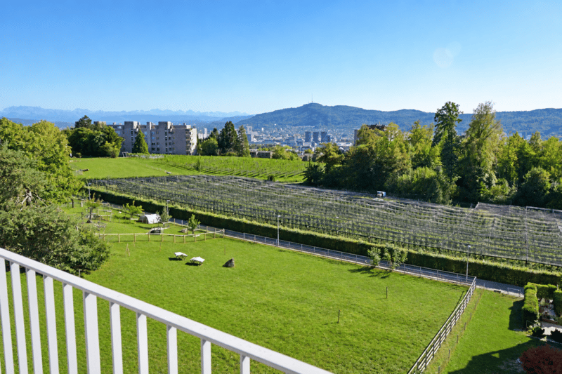 Exklusive 5.5-Zimmer-Attikawohnung am Hönggerberg mit Panoramablick (4)
