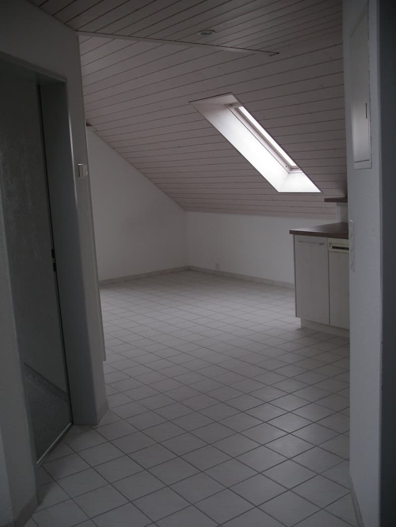 Charmante 2-Zimmer-Dachgeschosswohnung mit Balkon in Wiesendangen (6)