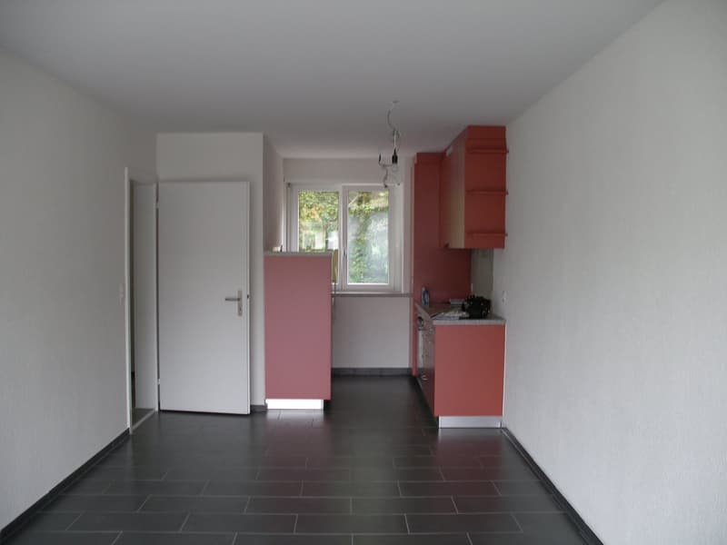 Charmante 4-Zimmer-Maisonette-Wohnung an der Schaffhauserstrasse in Winterthur (3)