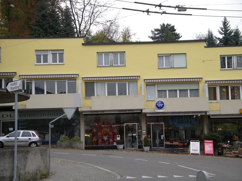 Charmante 4-Zimmer-Maisonette-Wohnung an der Schaffhauserstrasse in Winterthur (1)