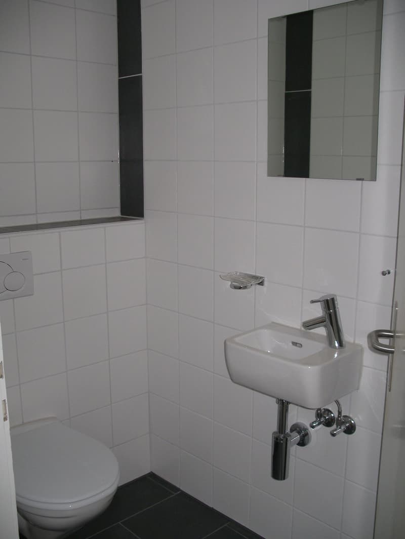 Charmante 4-Zimmer-Maisonette-Wohnung an der Schaffhauserstrasse in Winterthur (4)
