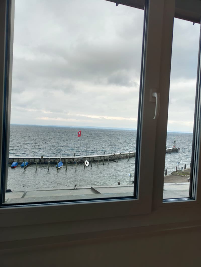 View of an ocean with pier, boats, a lighthouse, and a Swiss flag in the distance