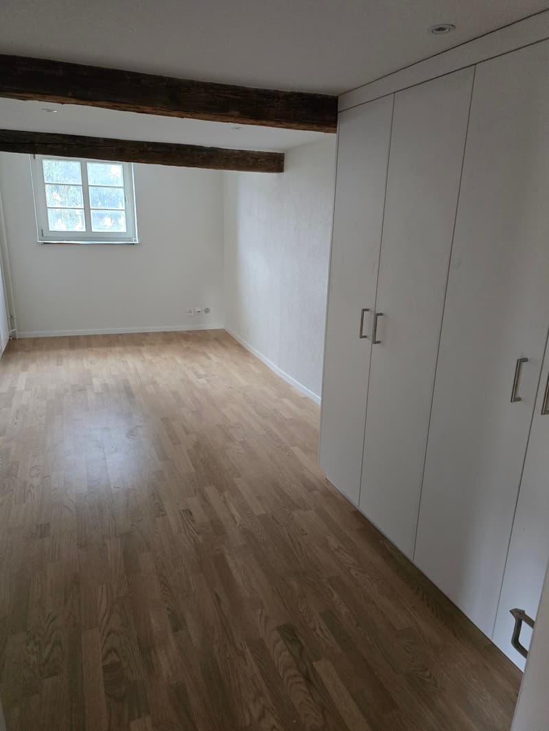 Charmante 7.5-Zimmer-Wohnung in historischem Gebäude in Ottenbach (10)
