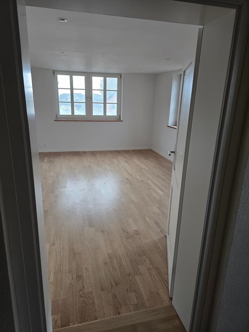 empty room with hardwood floors, windows, and light fixtures