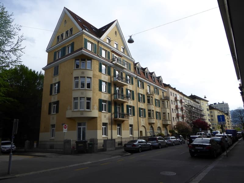 Cozy 2-room attic maisonette with roof terrace (1)
