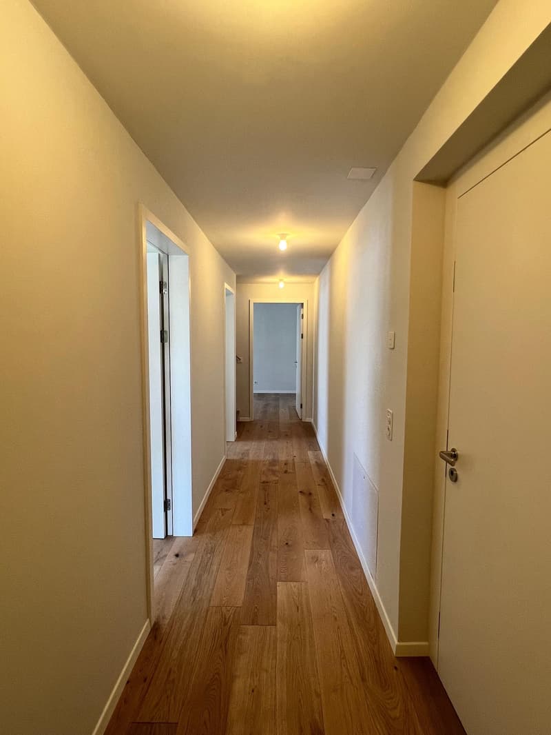 NEUBAU! Moderne 4.5-Zimmer-Maisonette-Wohnung über 3 Stockwerke (4)
