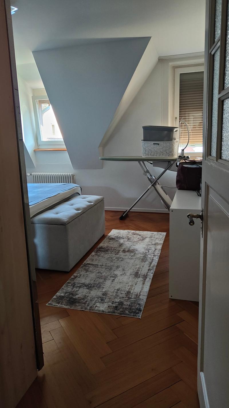 Charmante 4-Zimmer-Altbauwohnung mit Seesicht (2)