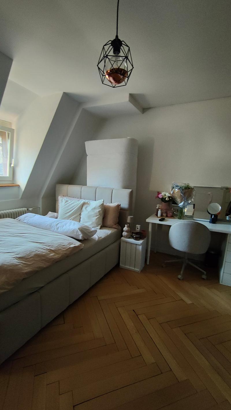 Charmante 4-Zimmer-Altbauwohnung mit Seesicht (5)