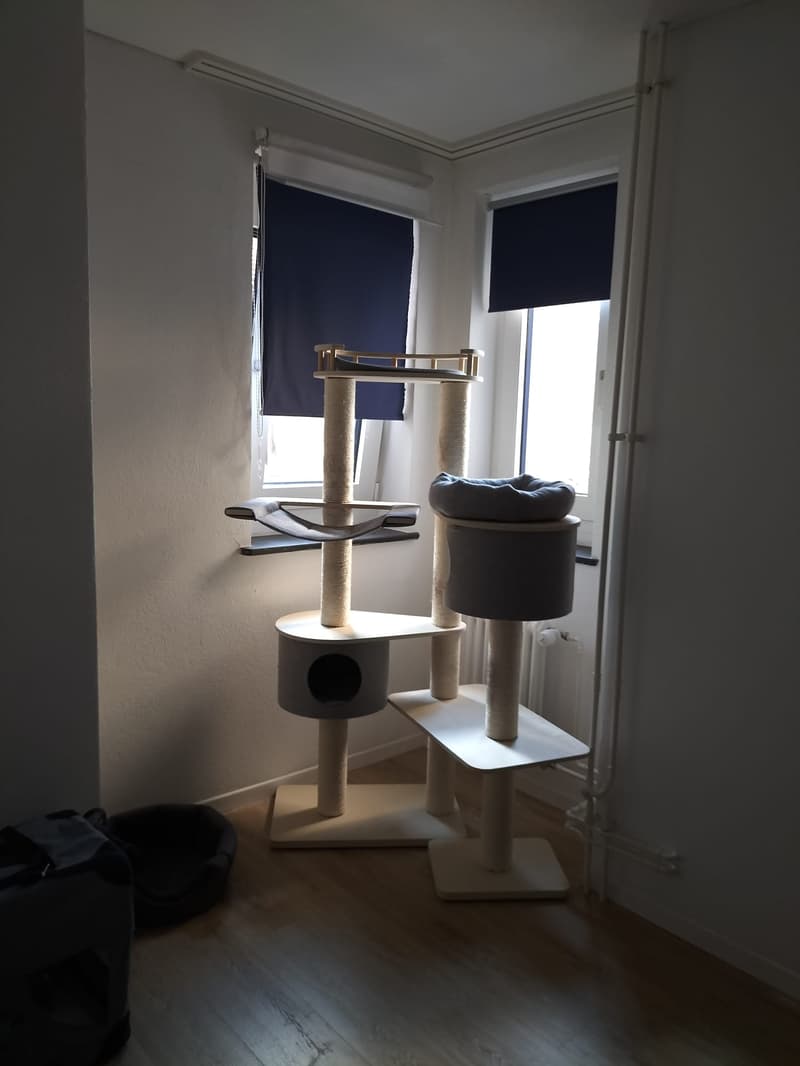 Charmante 4-Zimmer-Altbauwohnung mit Seesicht (7)