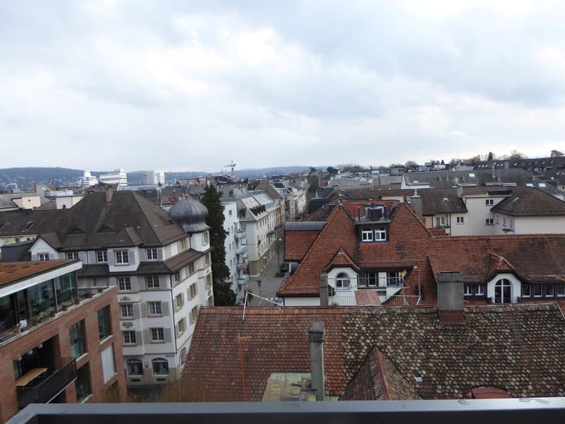 Schöne Dachmaisonette mit Dachterrasse und Alpenblick (18)