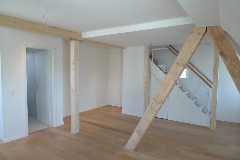 Schöne Dachmaisonette mit Dachterrasse und Alpenblick (5)