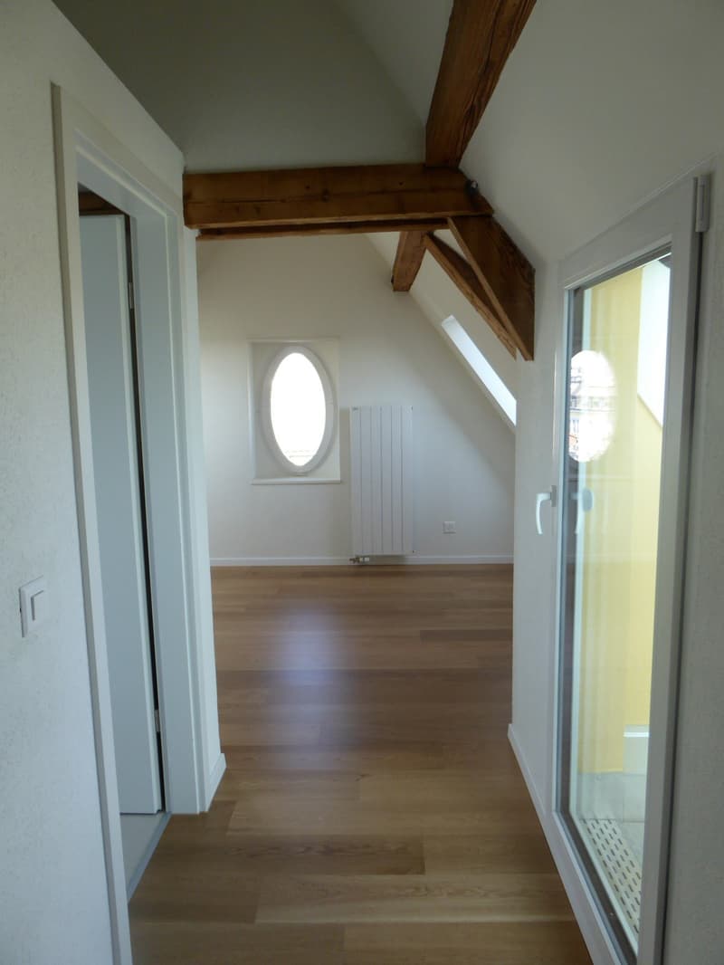 Schöne Dachmaisonette mit Dachterrasse und Alpenblick (14)