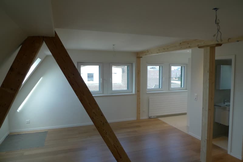 Schöne Dachmaisonette mit Dachterrasse und Alpenblick (6)