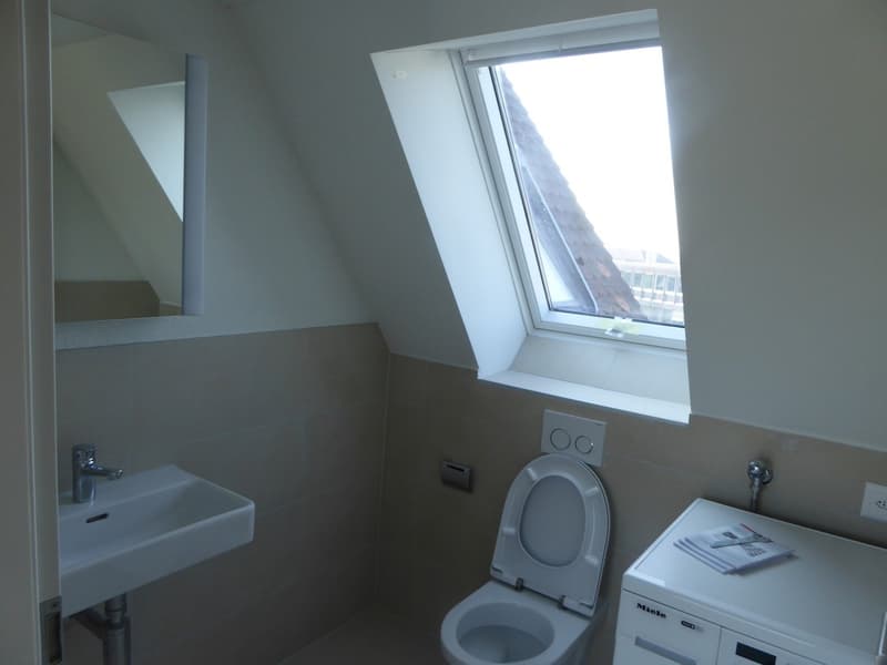 Schöne Dachmaisonette mit Dachterrasse und Alpenblick (19)