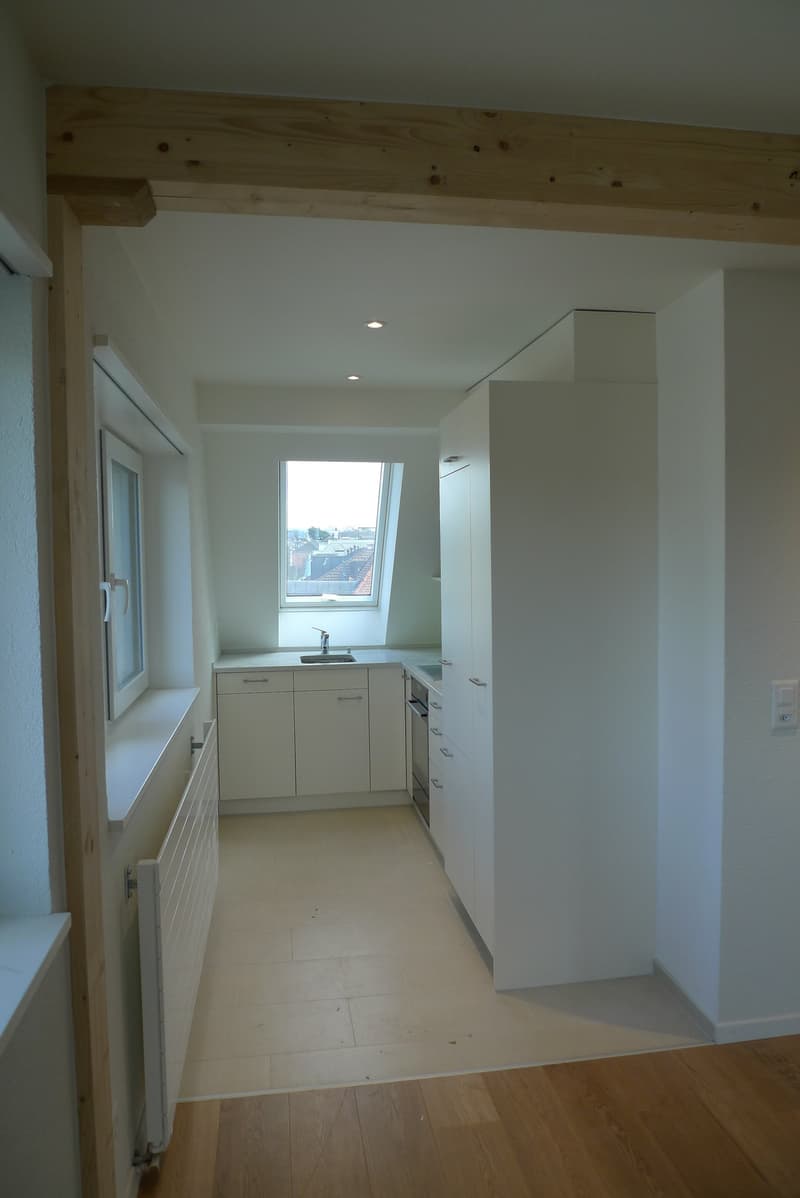 Schöne Dachmaisonette mit Dachterrasse und Alpenblick (8)