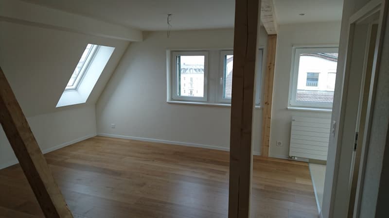 Schöne Dachmaisonette mit Dachterrasse und Alpenblick (7)