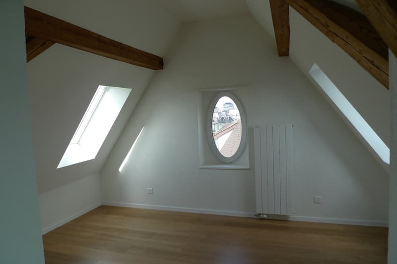 Schöne Dachmaisonette mit Dachterrasse und Alpenblick (13)
