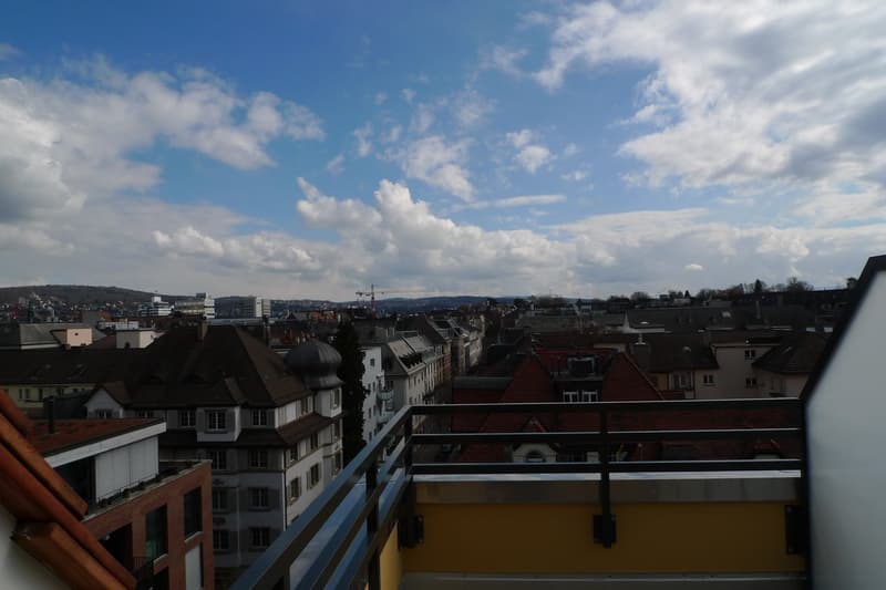 Schöne Dachmaisonette mit Dachterrasse und Alpenblick (16)