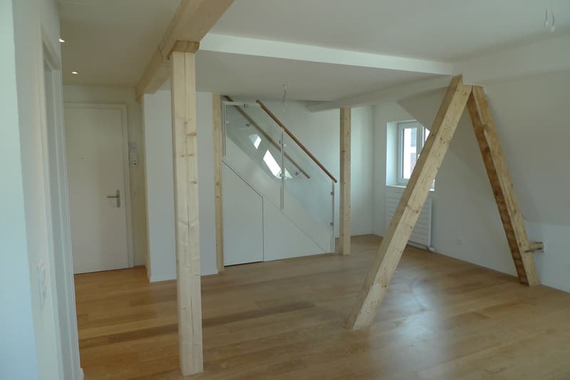 Schöne Dachmaisonette mit Dachterrasse und Alpenblick (12)