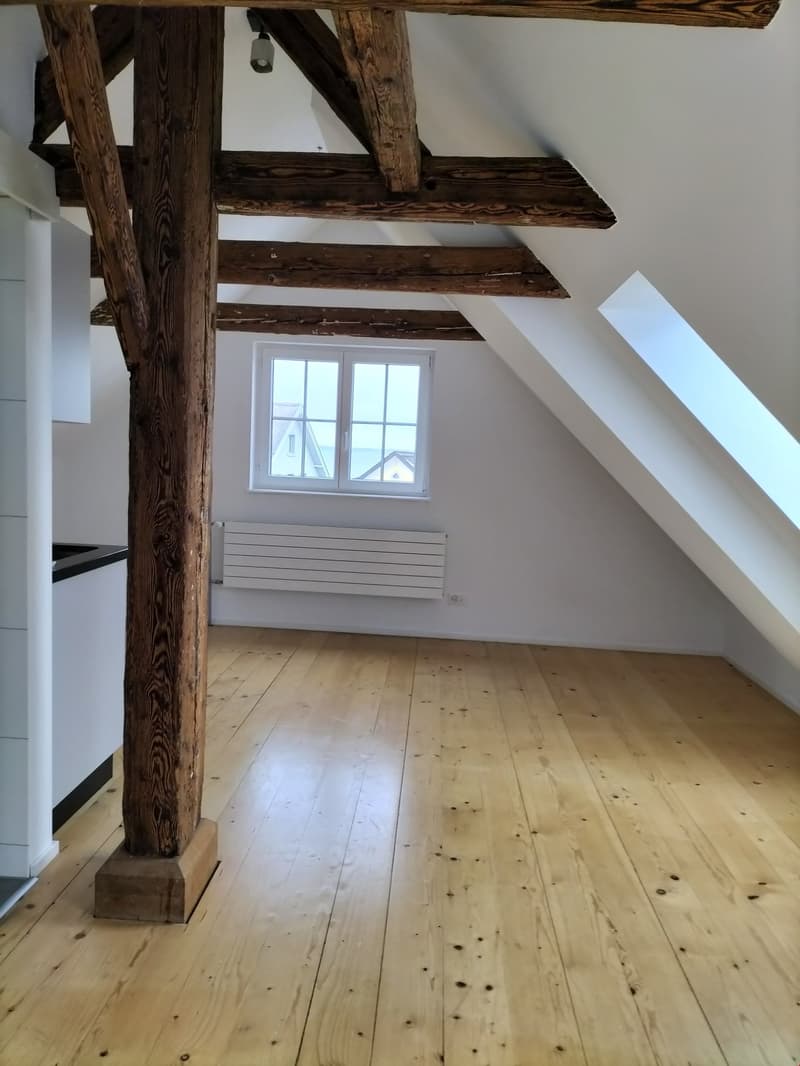 Charmante 1-Zimmer-Wohnung mit Balkon und schöner Aussicht in Rorschach (8)