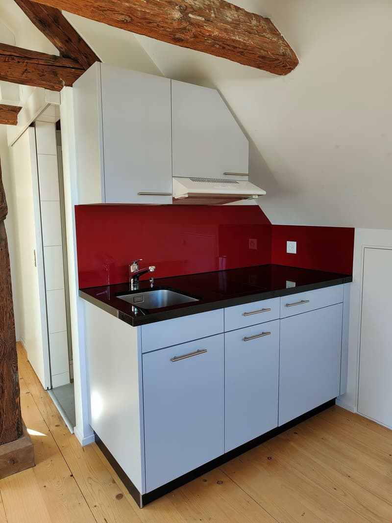 Charmante 1-Zimmer-Wohnung mit Balkon und schöner Aussicht in Rorschach (4)