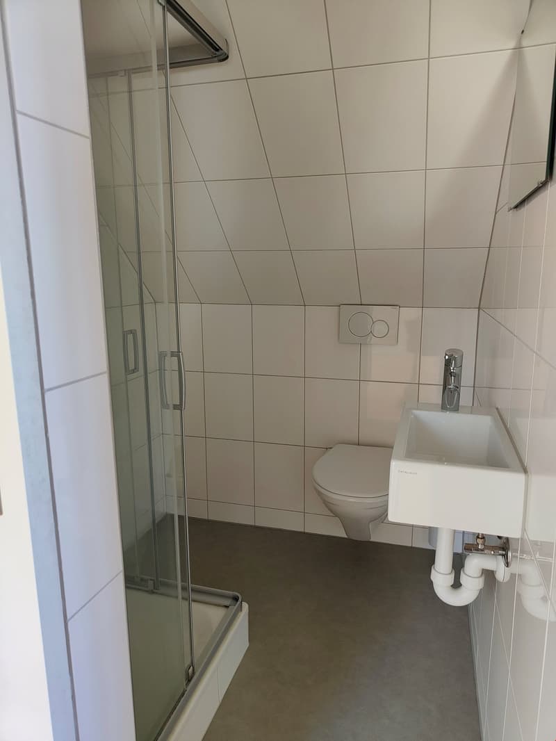 Charmante 1-Zimmer-Wohnung mit Balkon und schöner Aussicht in Rorschach (5)