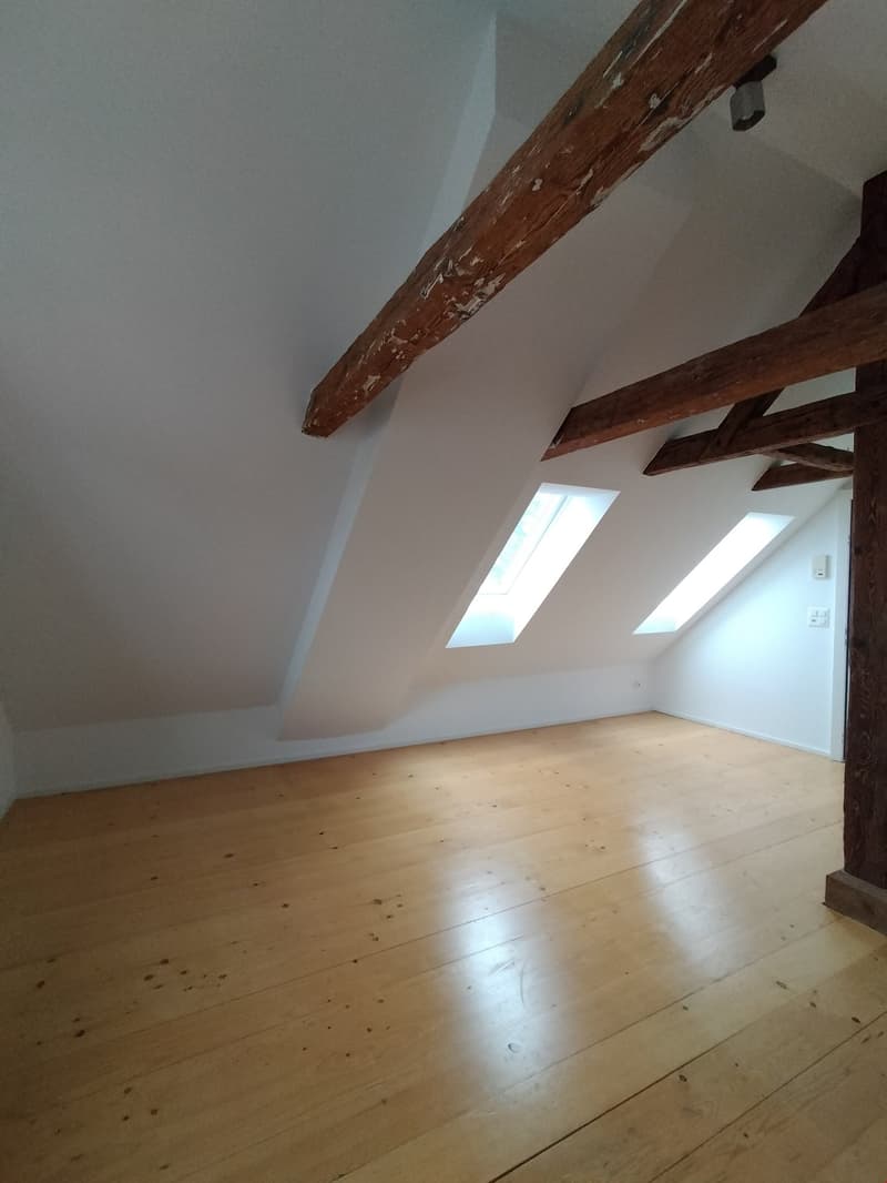 Charmante 1-Zimmer-Wohnung mit Balkon und schöner Aussicht in Rorschach (7)