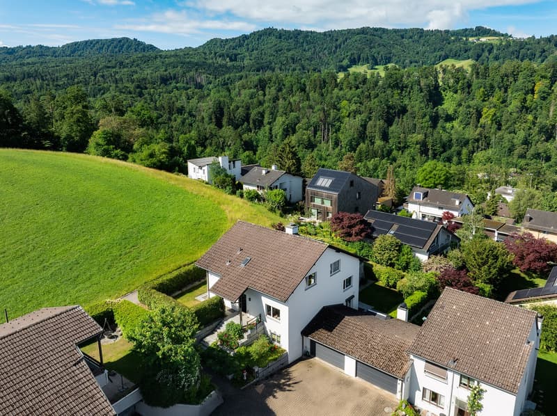 Wohnen mit Weitblick auf die Albiskette (1)